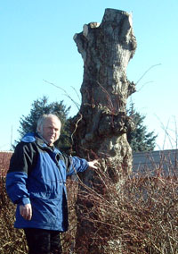 Sigve Svendsen viser et av trærne som er helt ødelagt. (Foto: Camilla Hatleskog)