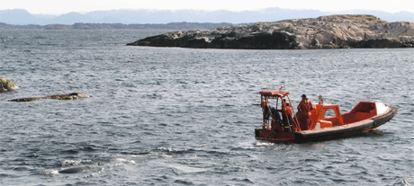 Her blir vågehvalen slept ut på dypere vann. Foto: Roald Olsen Her blir vågehvalen slept ut på dypere vann. Foto: Roald Olsen
