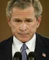 President George W. Bush (Foto: REUTERS / Jason Reed) President George W. Bush (Foto: REUTERS / Jason Reed)