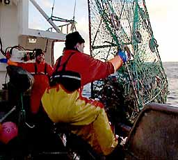 Krabbefiskerne – blant dem Odd Bjarne Esbensen i Vardø – får mindre betalt enn før. Urimelig, mener Kystfiskarlaget. (Arkivfoto: NRK)