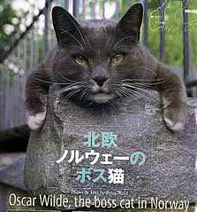 Bergenskatten Oscar Wilde i det japanske kattebladet Cats. (Faksimile)