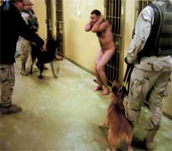 Fange omringet av amerikanere i Abu Ghraib-fengselet i desember i fjor. (Foto: Scanpix / AP)