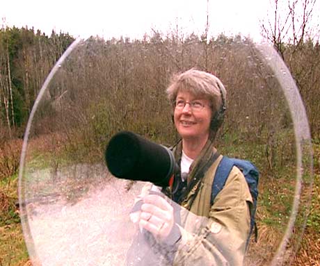 Helene Lampe forsker på lydene til fuglesnapperen. Her er hun i Sørkedalen og gjør lydopptak. Den store skjermen på parabolmikrofonen fanger opp lydene godt.