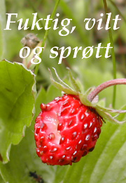 banner m lenke 180 matserie 04