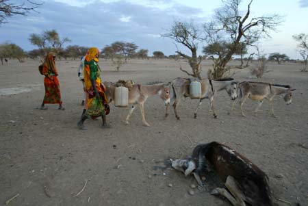 Darfur-flyktninger leter etter vann på grensa mellom Tsjad og Sudan. (Foto: K.Prinsloo, AP) Darfur-flyktninger leter etter vann på grensa mellom Tsjad og Sudan. (Foto: K.Prinsloo, AP)