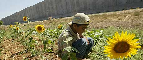EGEN STAT: Palestinerne får neppe sin egen stat i løpet av neste år, tror USA. Her leker en palestinsk gutt nær den kontroversielle israelske muren mandag 12. juli. (Foto: Reuters/Abed Omar Qusini)