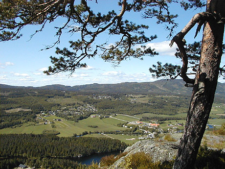 Siljan - Utsikt mot vest fra Ramsås. Foto: Siljan kommune