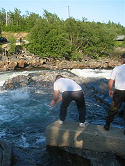 Käpälä-fiske i Neiden - Foto: Sjur Sætre, NRK