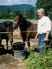 I dag har Terje Pedersen 18 travhester, alle med Pedro til 