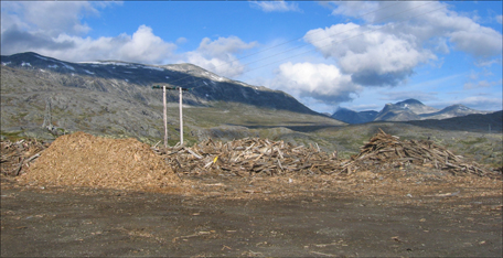 De gamle plankene av vinterhogd malmfuru har høy kvalitet og resten blir flis. Foto: Gunnar Sandvik