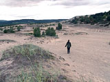 Denne ørkenen vil vi ha! Foto: NRK.