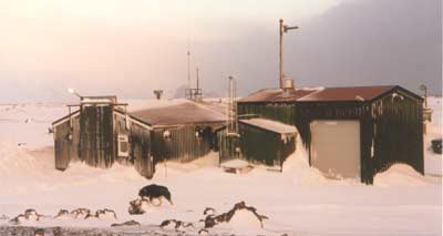 Den meteorologiske stasjonen på Jan Mayen, med stasjonshunden Sondre i forgrunnen. Foto: Bernt Olsen