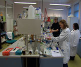 Insitutt for bioteknologi ved NTNU er fremst i verden på alginatforskning. Foto: NRK