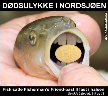 (Alltid Moro) (Alltid Moro)