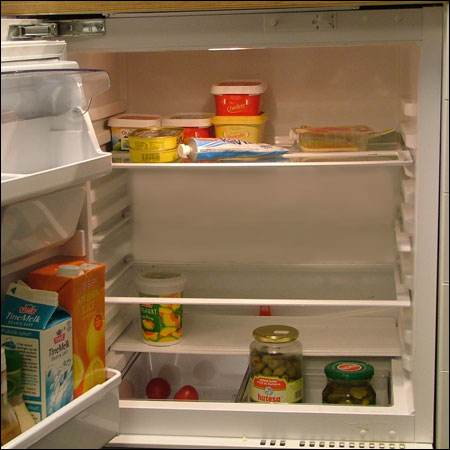 I det David Attenborough rev opp kjøleskapsdøra midt på natta, kunne han bevise det han hadde påstått i 26 år: Både brelettpakker og makrellbokser parret seg. (Stian Thorgaard) Foto: NRK