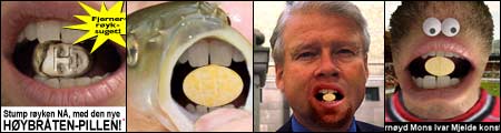 Klikk på lenken under for å se de ukens morsomste bilder! Klikk på lenken under for å se de ukens morsomste bilder!