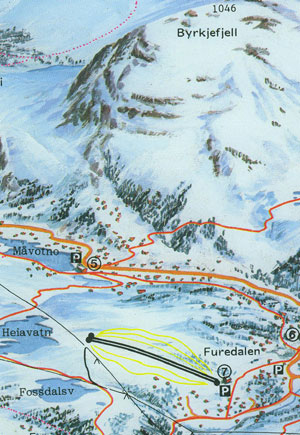 Det er i dette området på Kvamskogen det nye alpinanlegget er planlagt.