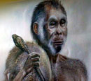 Slik så kanskje Homo floresiensis ut. Tegn.: National Geographic