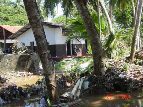 Sri Lanka etter flodbølgen (Foto: Beate Arnestad)