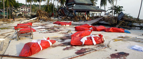 Kripos skal hjelpe politi i Thailand med å identifiser dei omkomne. Her frå øya Phi-Phi. Foto: AFP PHOTO/ROSLAN RAHMAN