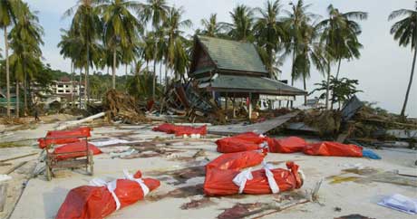 Døde kropper ligger på stranda på øya Phi Phi i det sørlige Thailand. (Foto: AFP/Scanpix)