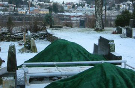 Bildet viser gravplass som er presset inn mellom gamle, - mens Holt kirkegård i bakgrunnen(med tårn) ligger ubrukt.(Foto:NRK)