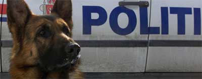 - Me gir oss, ropa gutane då dei blei henta inn av politihunden. Foto: Bjørn Sigurdsøn/Scanpix - Me gir oss, ropa gutane då dei blei henta inn av politihunden. Foto: Bjørn Sigurdsøn/Scanpix