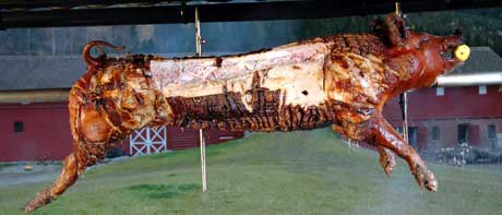 Grilling av hel gris. Foto: NRK