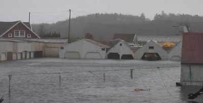 Vannet steg da stormen herjet Farsund. Her står sjøhusene på Naudodden i vannet (Foto: Marr-Ann Albrektsen)