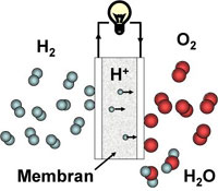 En brenselcelle lager elektrisk strøm fra hydrogen og oksygen. Avfallet blir rent vann (H2O). Illustrasjon: Ole Martin Løvvik