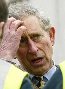 PLAGET: Prins Charles synes britene bør være mer medfølende. (Foto: AP)