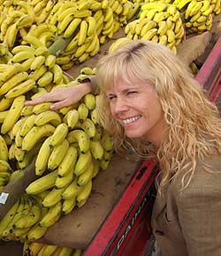 Disse etiske bananene er på vei til Europa for to kroner kiloen; 80 øre mer enn markedspris. Foto: NRK Disse etiske bananene er på vei til Europa for to kroner kiloen; 80 øre mer enn markedspris. Foto: NRK