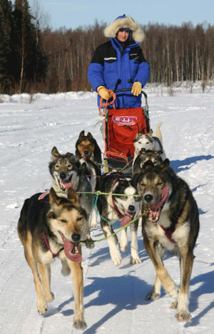 Bjørnar Andersen på treningstur i Alaska før Iditarod i fjor. Foto: Kjetil Backen. Bjørnar Andersen på treningstur i Alaska før Iditarod i fjor. Foto: Kjetil Backen.