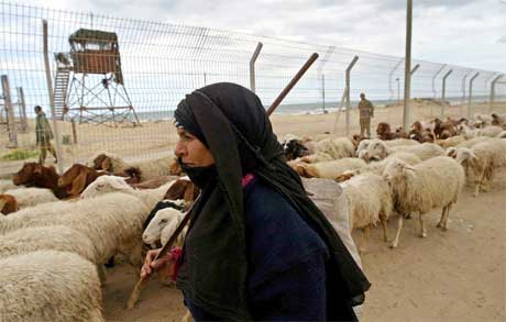 ERSTATTES: Dette gjerdet p Gaza-stripen, som ble satt opp i  1994, skal n erstattes met et dobbelt gjerde med en 70 meter bred sone  i midten. Foto: Reuters/Scanpix.