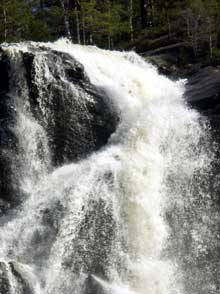 Elgåfossen kaster seg ut i et 46 meter høyt fall rett før Holtet på norsk side. Fossen er en av mange flotte naturopplevelser på rallyruten. Foto: Rainer Prang, NRK. Elgåfossen kaster seg ut i et 46 meter høyt fall rett før Holtet på norsk side. Fossen er en av mange flotte naturopplevelser på rallyruten. Foto: Rainer Prang, NRK.