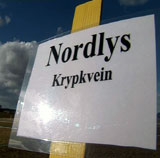 Nordlys-gresset er trøndersk. Foto: NRK Nordlys-gresset er trøndersk. Foto: NRK