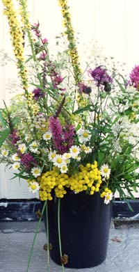 I Feng Shui sier man at det er fornuftig å ha noe i gangen som gir et blikkfang. Hva med noen frisk blomster? Foto: Scanpix I Feng Shui sier man at det er fornuftig å ha noe i gangen som gir et blikkfang. Hva med noen frisk blomster? Foto: Scanpix