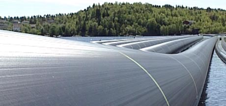 Det er frykt for de store plastrørene som er lagret i Frierfjorden. (Foto: Stine Hansen, NRK)