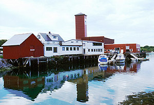 Fjord Seafoods anlegg i Brønnøysund. Foto: NRK