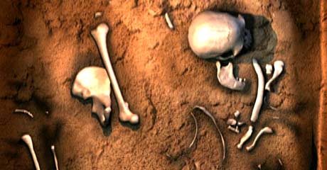 Skjelettrester fra Homo Floresiensis (Foto: National Geografic) Skjelettrester fra Homo Floresiensis (Foto: National Geografic)