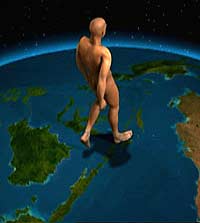 Homo erectus - The missing link (Grafikk: National Geografic) Homo erectus - The missing link (Grafikk: National Geografic)