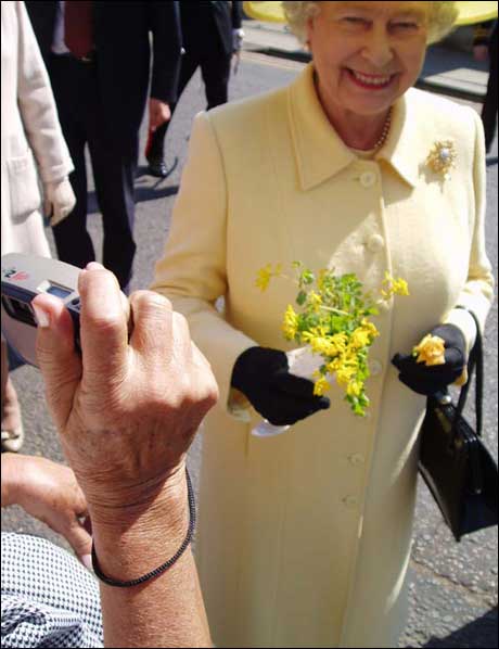  Og ganske riktig: Etter et øyeblikks nøling tar dronningen i mot blomstergaven, og smiler høflig. Teorien er bevist: Dronninger kan ikke nekte å ta i mot blomster, uansett hvor puslete de er.