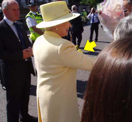 Og slik gikk det til at dronningen måtte gå rundt med de stusselige blomstene resten av dagen.
