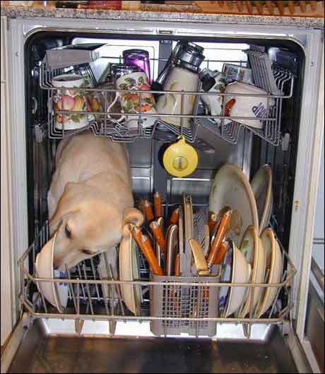 ... har sine egne metoder for å få unna oppvasken...
