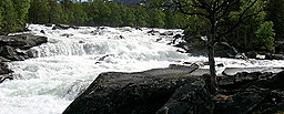 Lønselva Lønselva