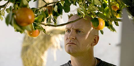 Adam (Ulrich Thomsen) sjekker eplene. Foto/Copyright: Nordisk Film