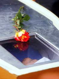 En enslig rose på kisten til Jean Charles de Menezes, en siste hilsen fra moren (Scanpix/AFP)