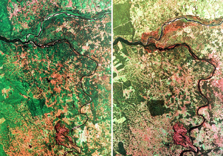Dramatisk avskoging i Amazonas. Bilde til venstre ble tatt i august 1995, bilde til høyre knapt to år seinere. Foto:Scanpix/AFP.