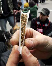Rulling av joint. Foto: AFP/Scanpix - Francis Guillot Rulling av joint. Foto: AFP/Scanpix - Francis Guillot