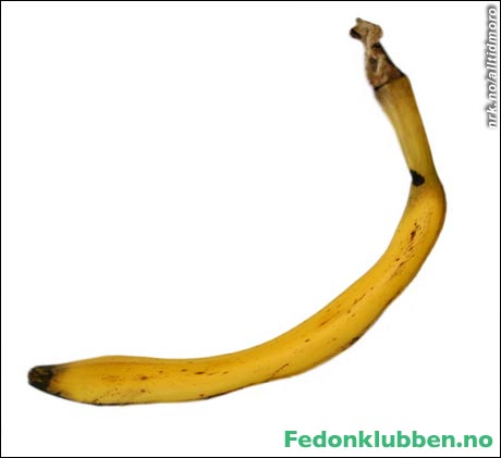 (Innsendt av Robert) (Innsendt av Robert)